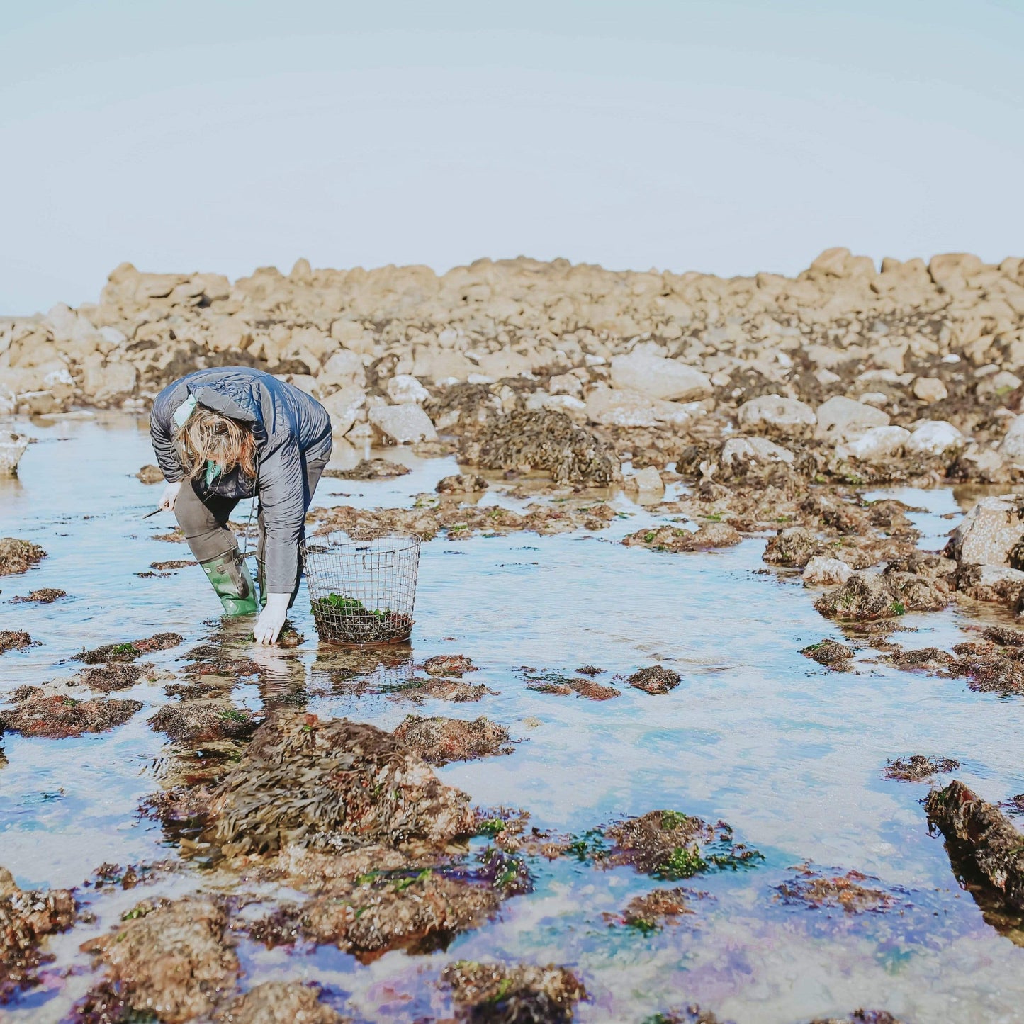 Naomi on the beach collecting seaweed