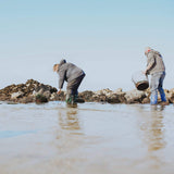 Naomi and Ben collecting seaweed from the beach