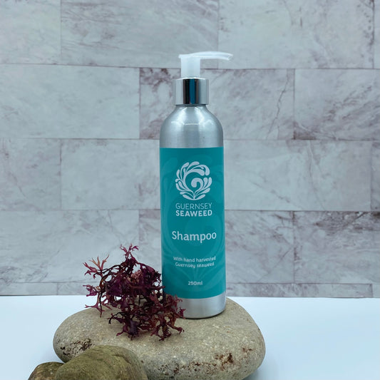 Seaweed Shampoo