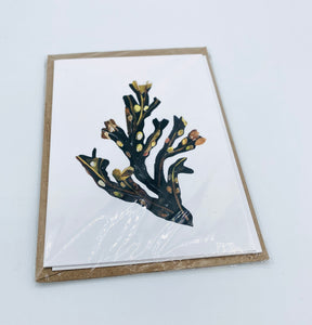Bladderwrack notecards