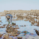 Naomi on the beach collecting seaweed